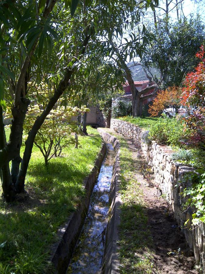 Villa Ferme Du Clos 4P à Calvi  Extérieur photo