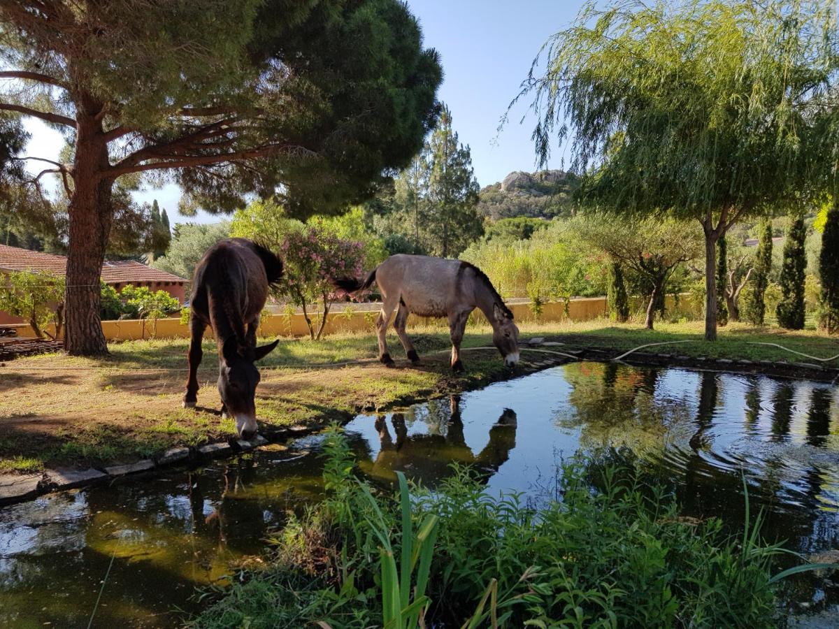 Villa Ferme Du Clos 4P à Calvi  Extérieur photo