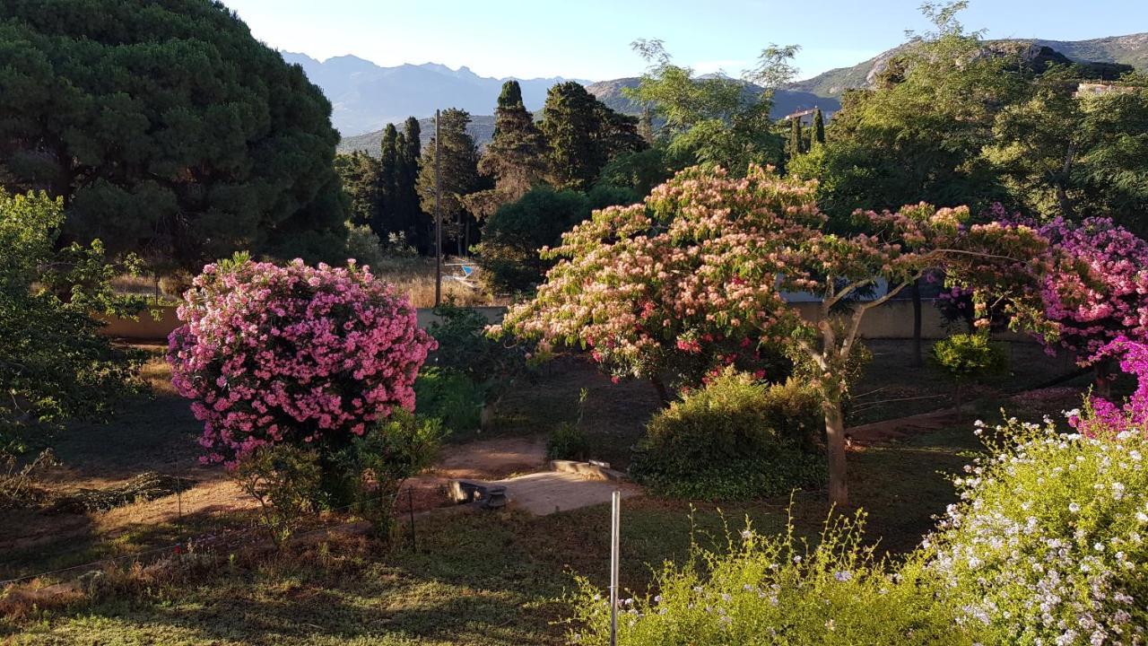 Villa Ferme Du Clos 4P à Calvi  Extérieur photo