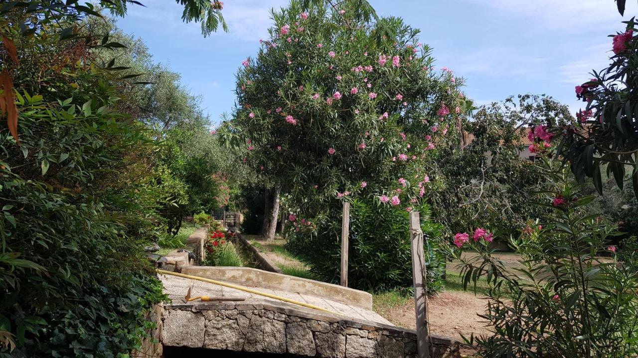 Villa Ferme Du Clos 4P à Calvi  Extérieur photo